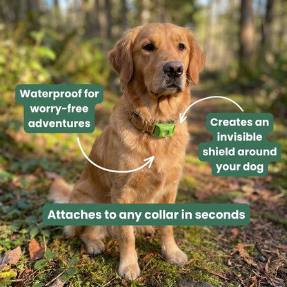 OnlyJoy™ Flea & Tick Protection